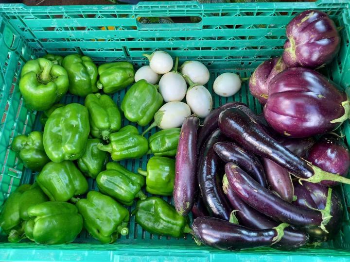 Vente de légumes bio Blois